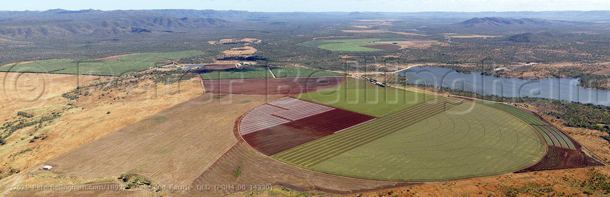 Peter Bellingham Photography Lakeland Farm - QLD (PBH4 00 14330)